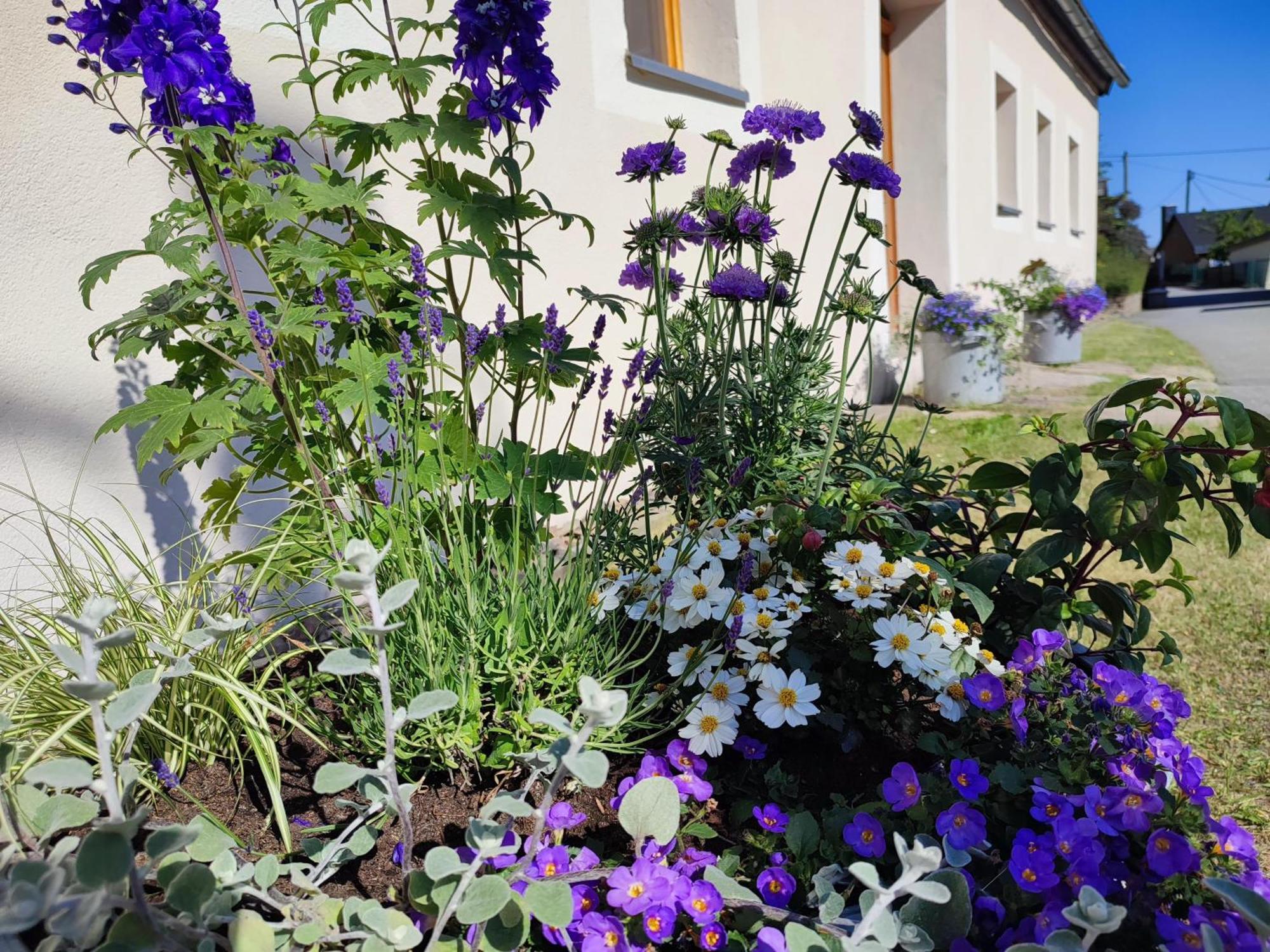 Ferienhaus "De Sieme" Olbernhau Buitenkant foto